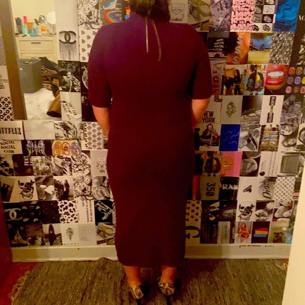 This is a Michael Kors Collection size small dress in dark eggplant